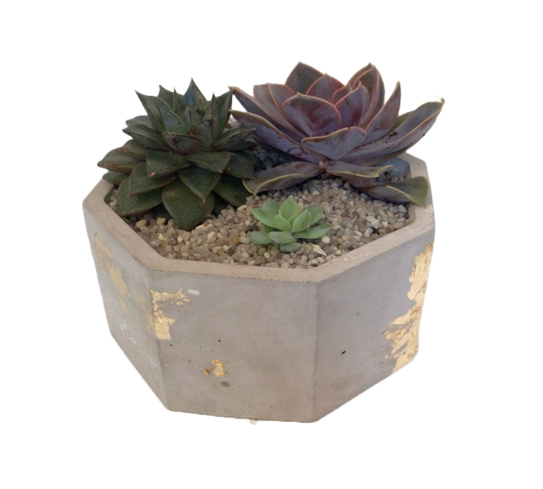 Large hexagonal plant pot