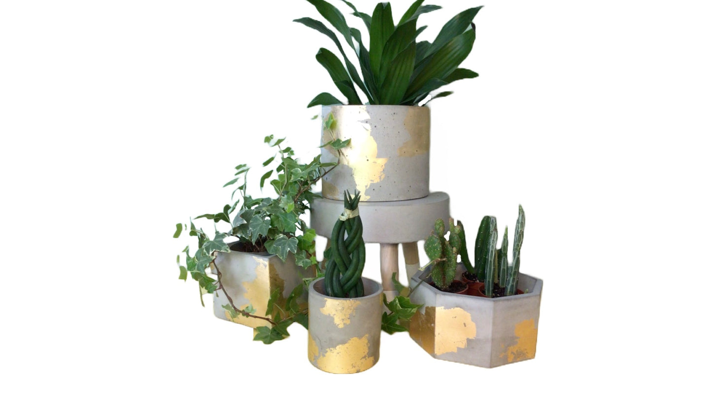 Square Plant Pot