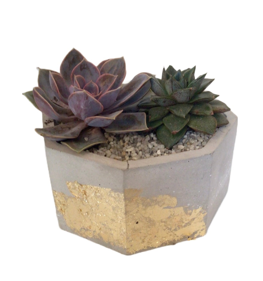 Large hexagonal plant pot