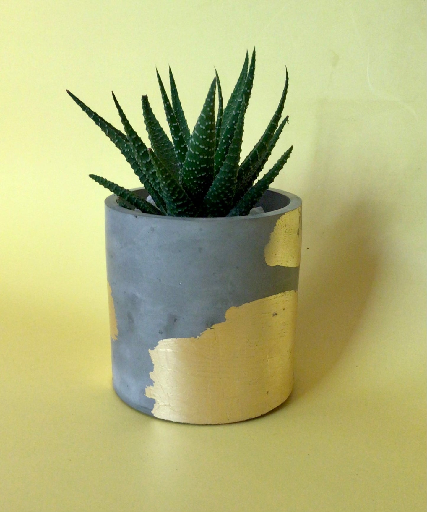 Medium round plant pot